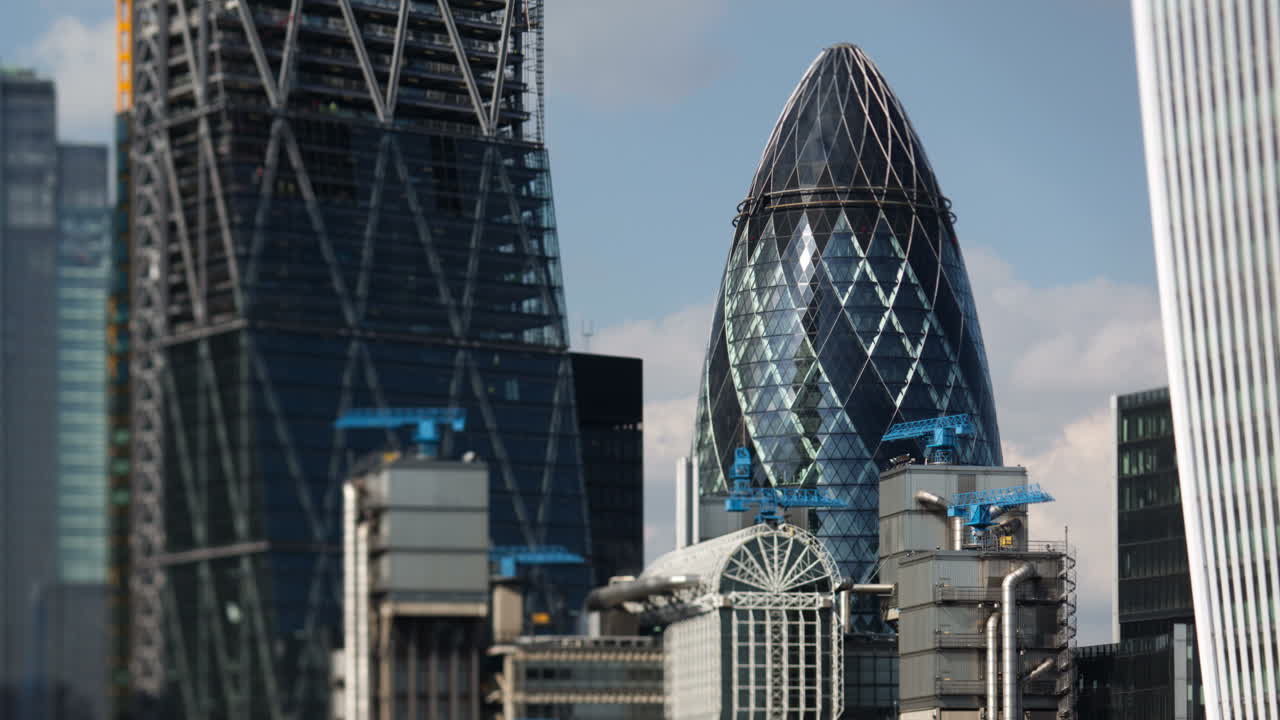 작은 오이 보기 00