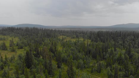 Spektakuläre-Dolly-Out-Aufnahme-Aus-Der-Luft,-Die-Die-Natürliche-Schönheit-Des-Kiefernwaldes-In-Jämtland-Schweden-Einfängt,-Mysteriöses-Und-Einsames-Konzept