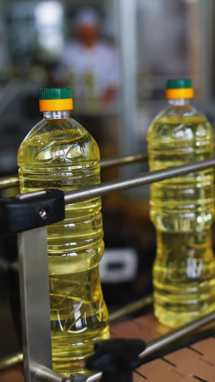 Oil bottling industry. Industrial production of sunflower oil Vertical video
