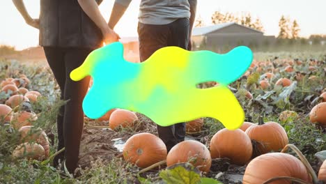 Animation-of-blue-and-yellow-splash-over-couple-holding-hands-on-pumpkin-patch