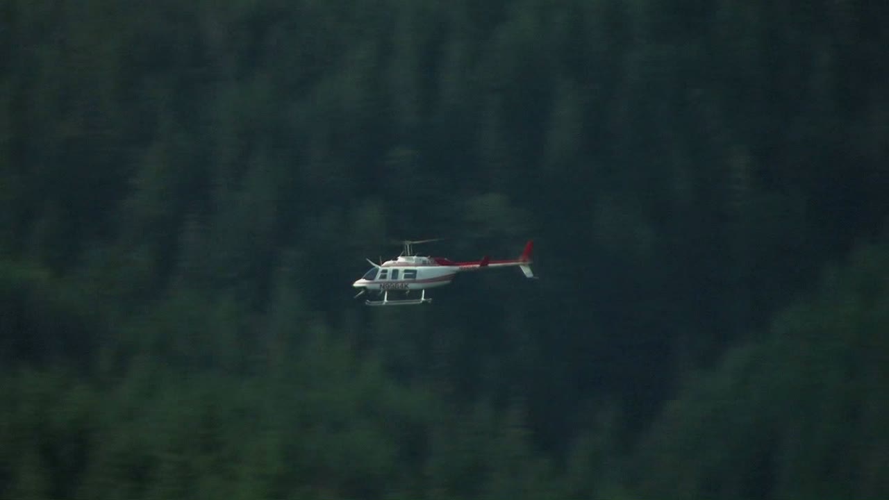 헬렌산 국립공원의 숲이 우거진 언덕 위로 헬리콥터가 날아갑니다.