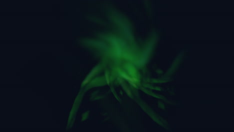 ethereal green leaf suspended in darkness
