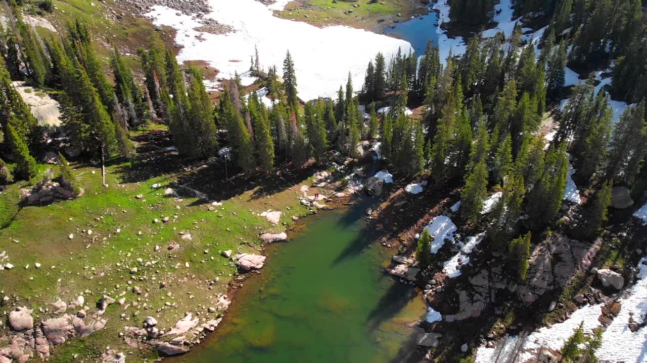 가문비 나무의 작은 덤불로 끝나는 녹색 호수