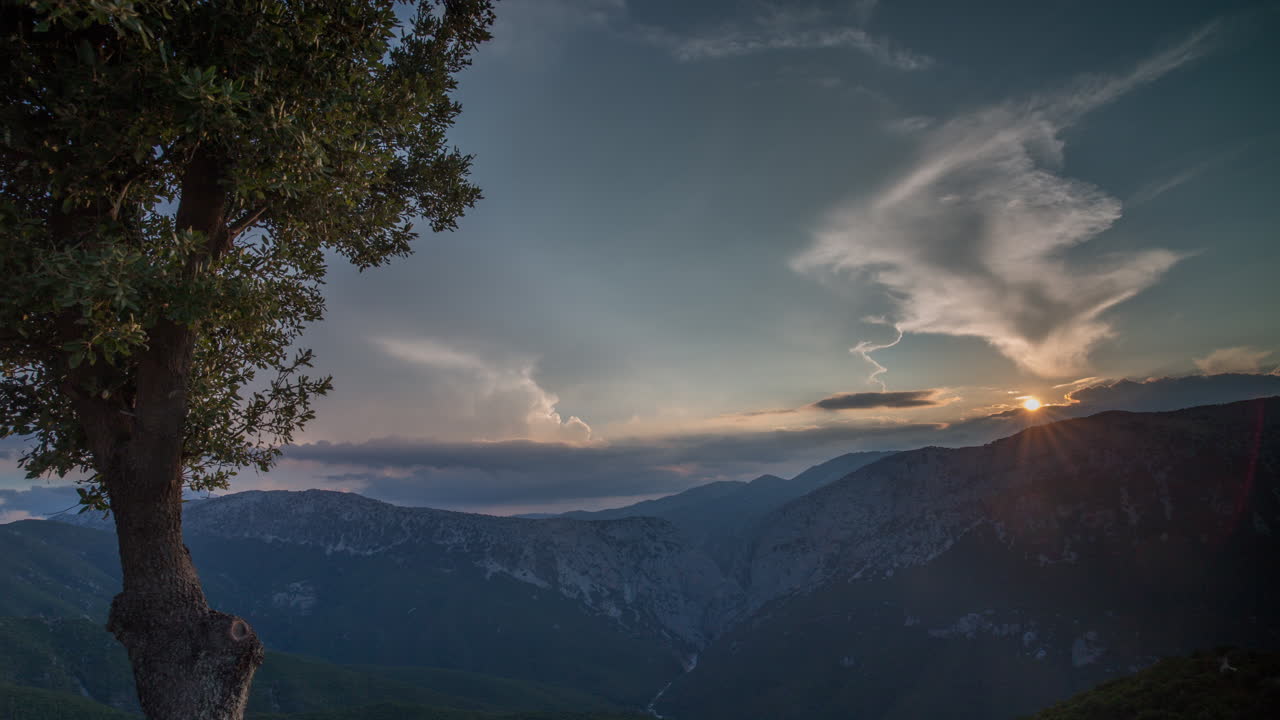 사르데냐 나무 일몰 4k 00