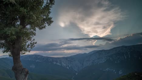 Sardinia-Tree-Sunset-4K-00