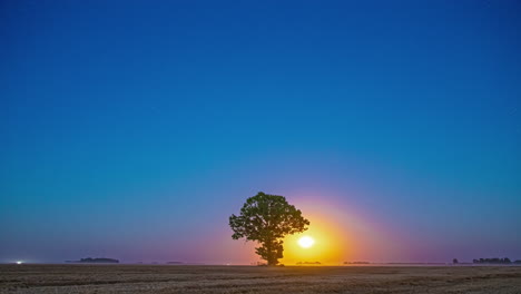 Una-Superluna-Resplandeciente-Que-Se-Eleva-Sobre-Un-árbol-En-El-Campo-Europeo---Lapso-De-Tiempo