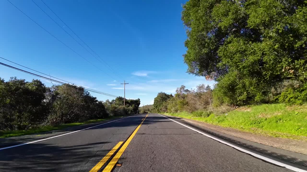 Giro in moto FPV attraverso un canyon con un falco che si lancia durante il percorso.