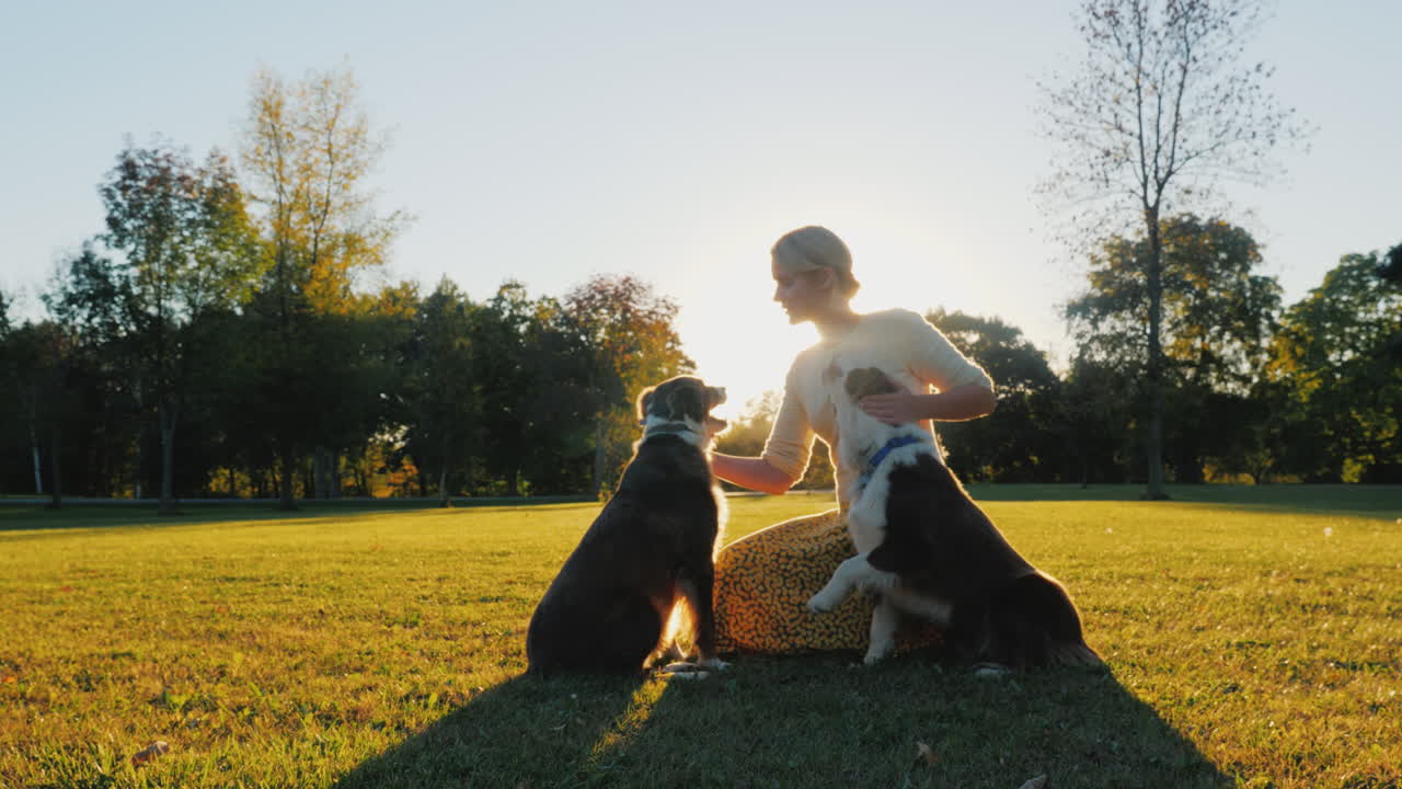 el dueño de dos perros pastores australianos jugando con ellos en el parque bajo el sol