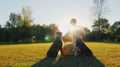 the owner of two australian shepherd dogs playing with them in the park in the sun