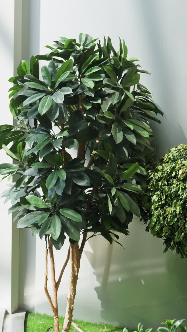 cámara capturando una vibrante escena del centro comercial. el primer plano presenta plantas decorativas, mientras que el fondo muestra una escalera mecánica con personas moviéndose