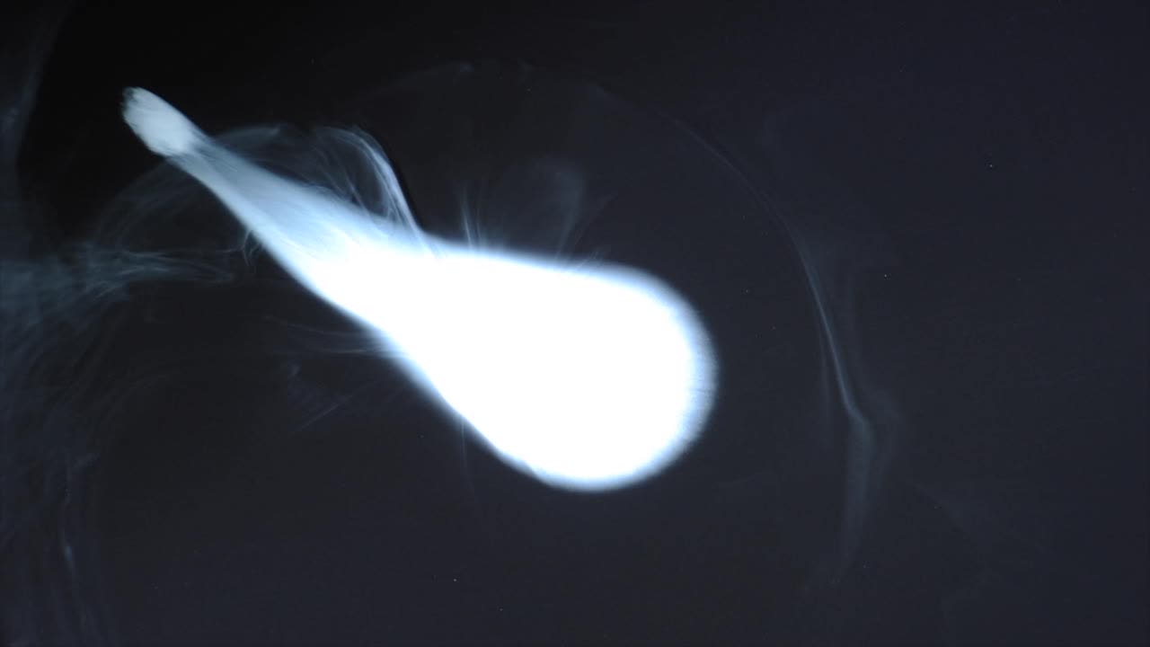 사랑스러운 흰색 채찍이 검은 공허로 분출됩니다. 자세한 내용은 따옴표를 사용하여 "abstractvideoclip"을 검색하십시오.