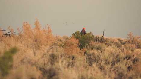 hunter walking in the distance through a scrubland wilderness