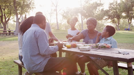 Familia-Multigeneracional-Disfrutando-Juntos-De-Un-Picnic-En-El-Parque