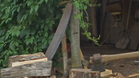 A Man Splits The Last Wooden Block And Leaves The Ax