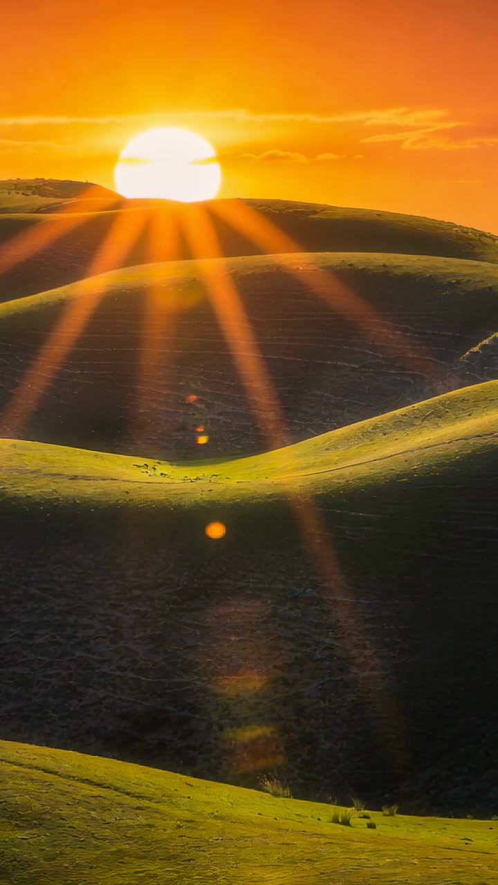Vertical video: Rising low sun sending starburst rays and descending lens flare over grassy hills