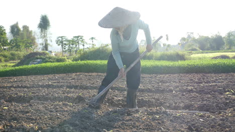 woman farmer working in field