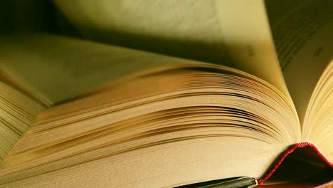 close up of a book in dim lighting as its pages are turned and shuffled