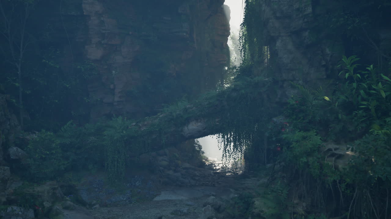 un camino misterioso a través de una selva exuberante y cubierta de vegetación