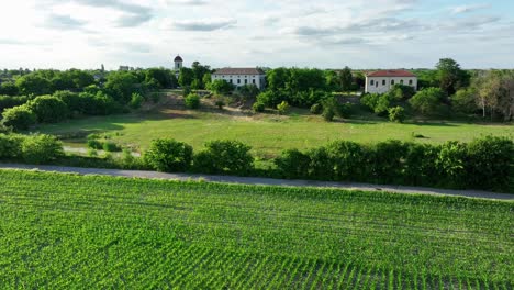 Green-fields-on-corfu-island-with-the-ionian-sea-in-the-background,-sunny-day,-aerial-view