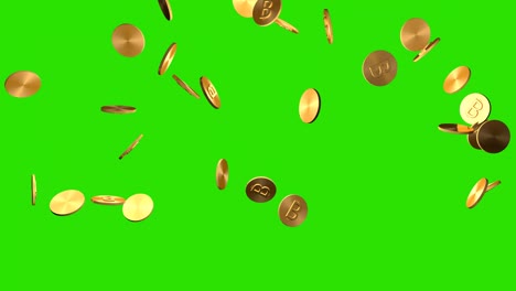 gold coins bitcoins