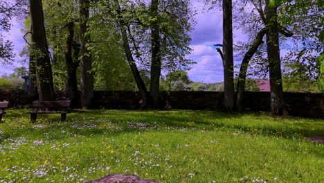 A peaceful park filled with blooming daisies and surrounded by tall green trees, benches, and a weathered stone wall under a clear blue sky in spring