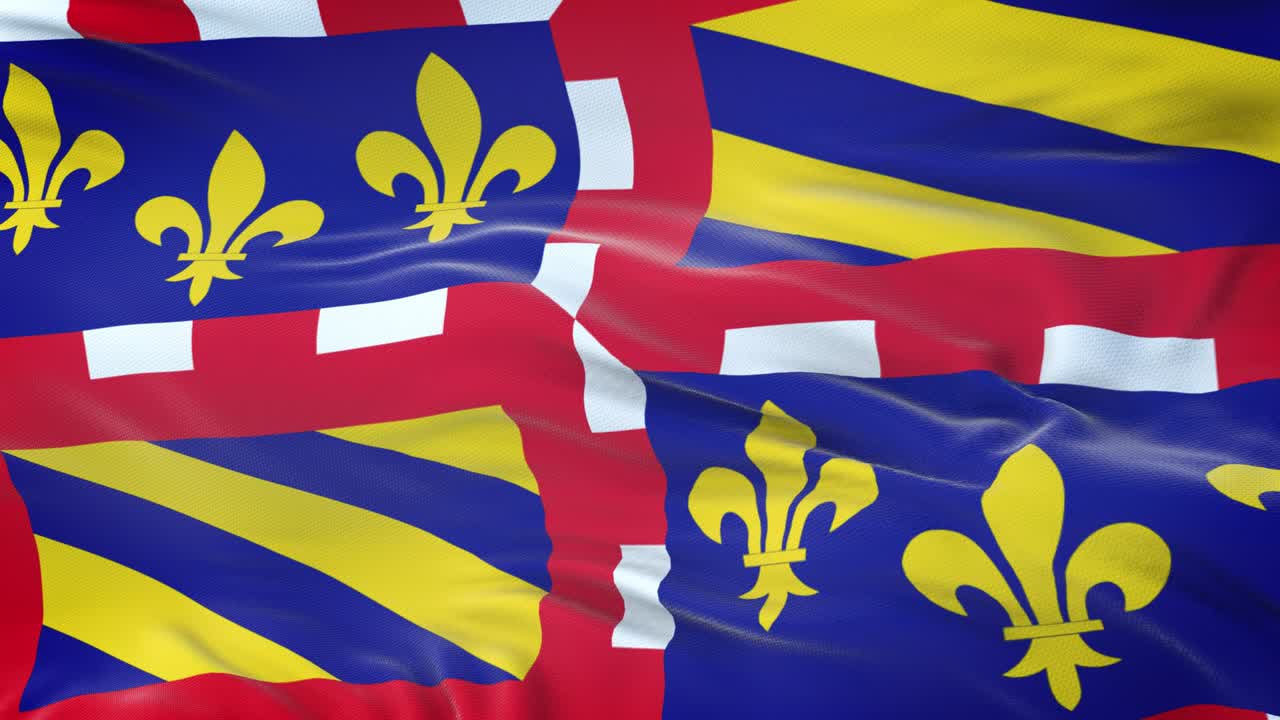 부르고뉴 (프랑스의 지역) 발은 매우 상세한 직물 질감으로 바람에 흔들리고 있습니다.