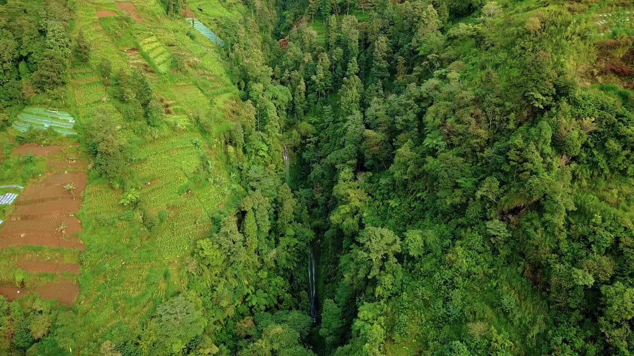 imágenes de drones del valle en la ladera de la montaña cubierta de árboles y plantaciones con cascada oculta - pendiente de la montaña sumbing, indonesia