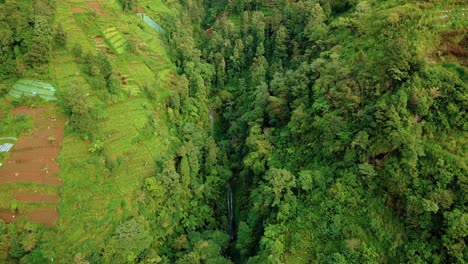 drone footage of valley on the slope of mountain that overgrown by trees and plantation with hidden waterfall - slope of sumbing mountain, indonesia