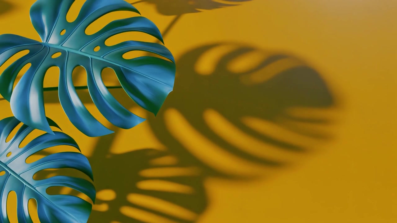 Foglie di Monstera su sfondo giallo vibrante