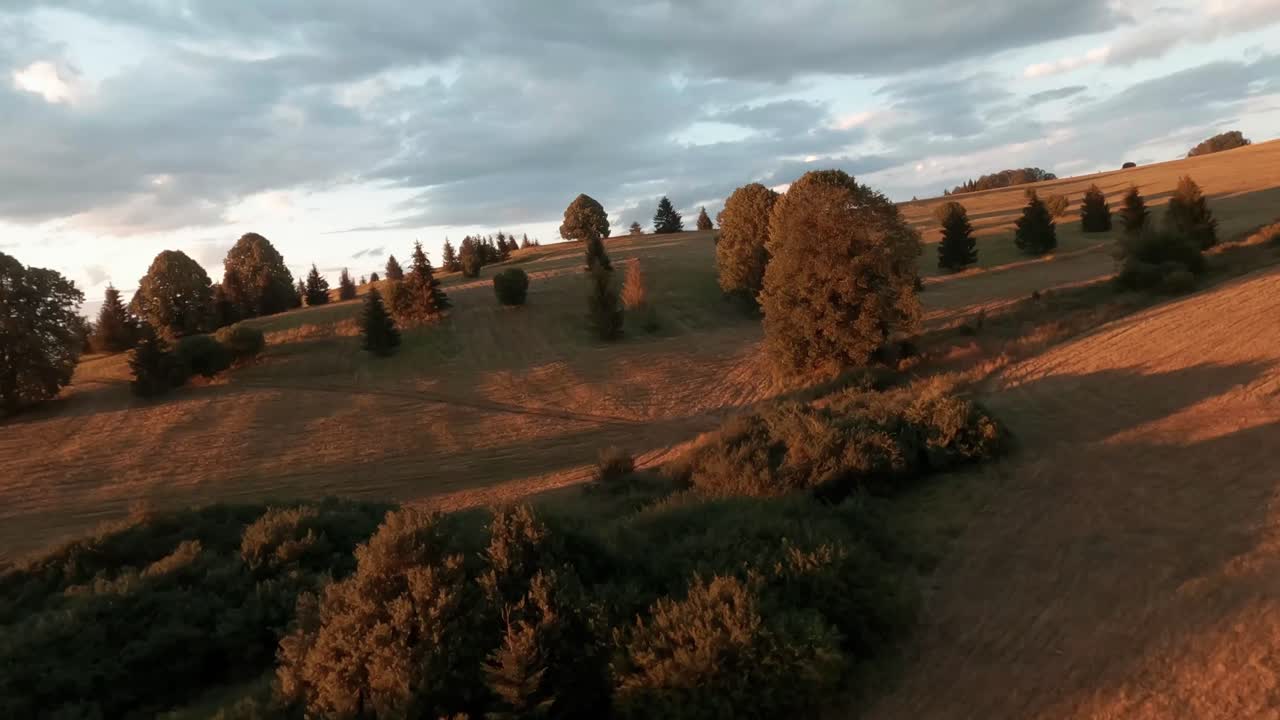 Riprese aeree cinematografiche da drone da corsa FPV di un prato illuminato dal sole durante un tramonto estivo.
