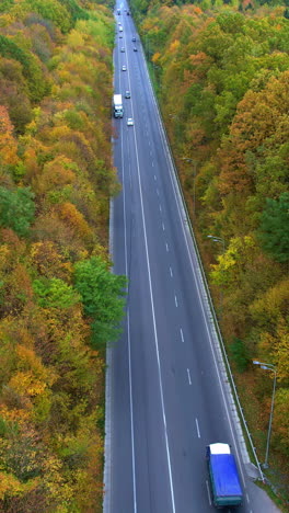 beautiful forest in yellow and green colors in autumn season. highway road going through the woods. top view. vertical video