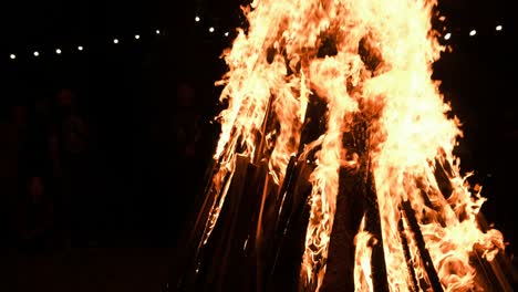 big bonfire burns at night in slow motion on a black background on nature