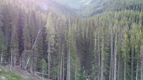 Luftdrohne,-Die-Sich-Aus-Dem-Wald-Zurückzieht,-Um-Die-Landschaft-Eines-Kleinen-Flusses-In-Kanada-Zu-Enthüllen-4k