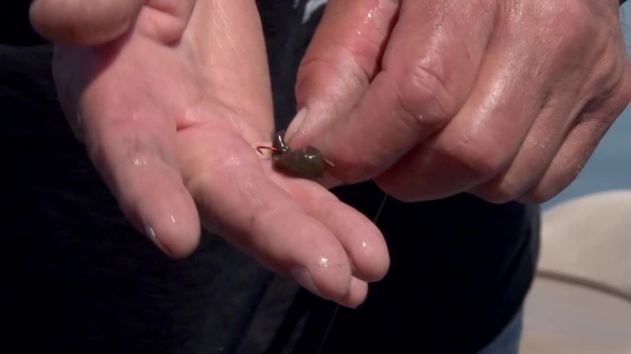 한 남자 가 물고기 갈고리 에 룩 을 붙이고 있다 - 근접적 인 모습