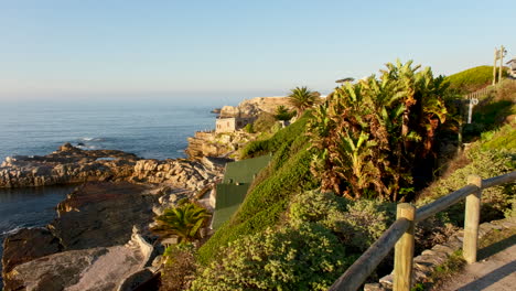 Toma-Panorámica-Desde-El-Sendero-Del-Acantilado-De-Hermanus-Y-Acantilados-Con-Vistas-Al-Océano-Al-Amanecer.