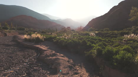 Herd-of-sheep-walking-with-the-beautiful-backdrop-of-Purmamarca-and-the-towering-Andes-mountain-range