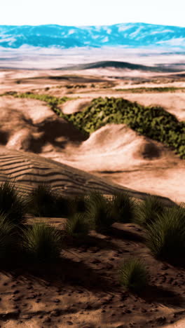 desert landscape with sand dunes and mountains