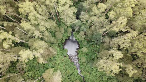 Drone-Arial-Sobre-Cascada-Subiendo-Y-Girando-Mientras-Mira-Hacia-Abajo-Con-árboles-Y-Helechos-Por-Todas-Partes-Durante-El-Verano-En-Un-Día-Soleado