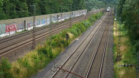 un tren metálico se acerca a un par de vías en una zona rural con arbustos altos y árboles a un lado