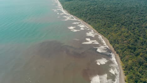 aerial shot of dirty brown coastline of costa rica beside green lush forest trees