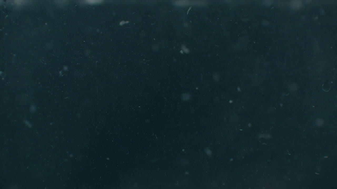 rebanadas de aguacate maduro bajo el agua con burbujas de aire y en cámara lenta. producto vegetariano saludable fresco y jugoso. ingredientes de ensalada.