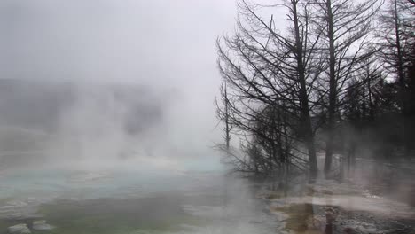 Mediumshot-De-Vapor-Saliendo-De-Una-Piscina-Termal-En-El-Parque-Nacional-Yellowstone,-Wyoming