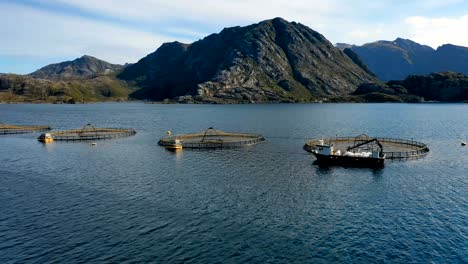 aerial footage farm salmon fishing in norway