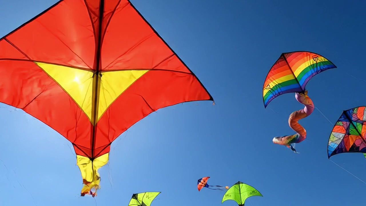 Et farverigt skue af drager, der svæver på en klar blå himmel under den klare sol, og fanger glæden og friheden ved en perfekt dag udendørs.
