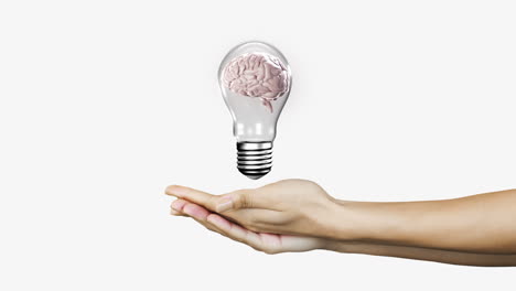 manos que presentan una bombilla con cerebro