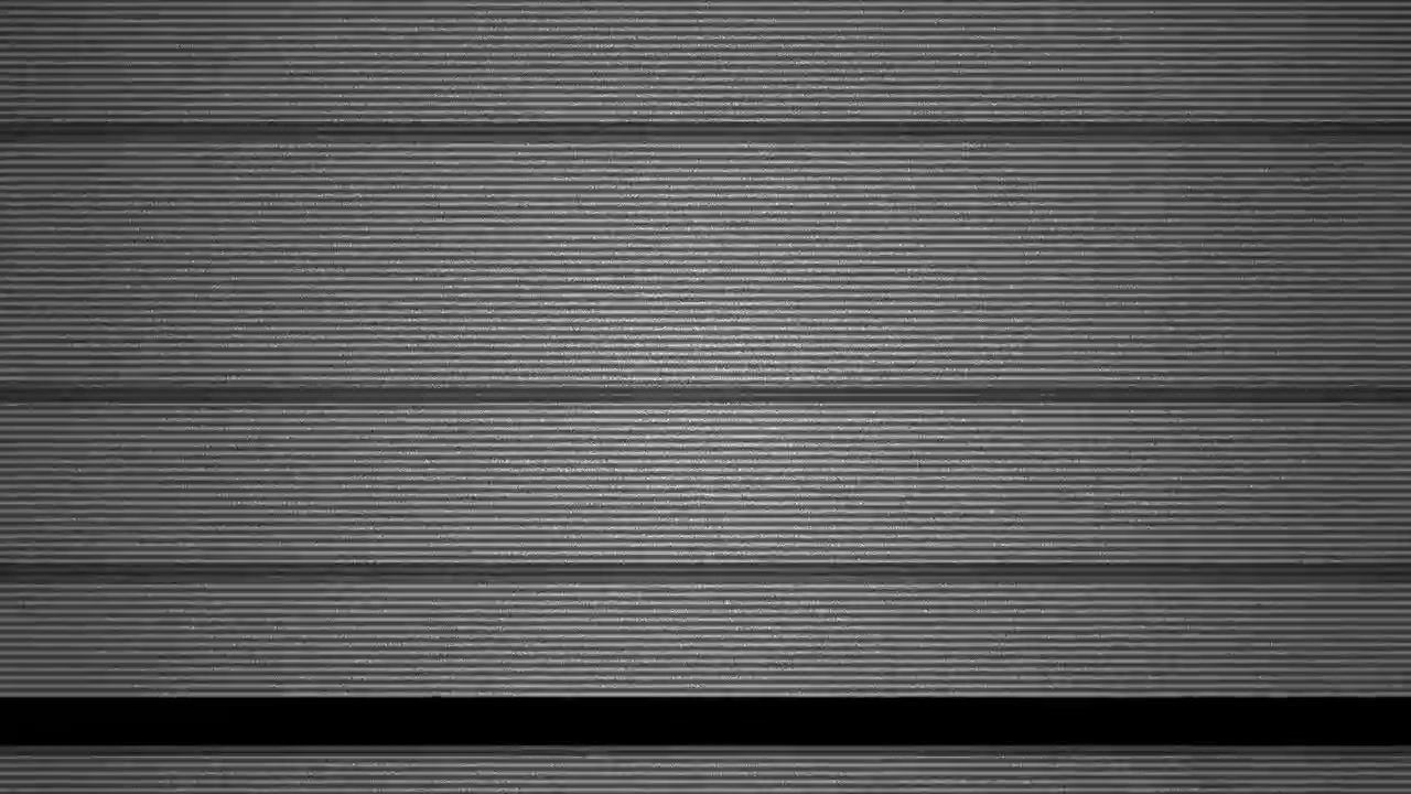 Grayscale Glitch Effect with Flickering Horizontal Lines