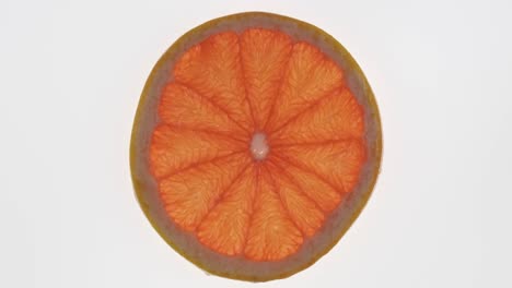 rotación de una delgada rebanada transparente de pomelo. textura cítrica.