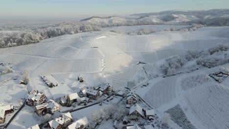 snowy suburban area and vineyards in offenburg, germany on a sunny winter day