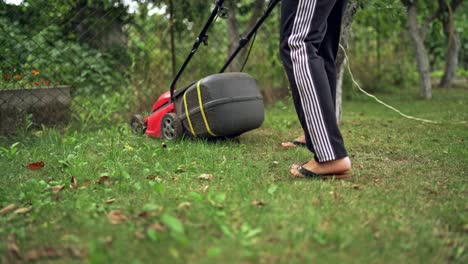 woman's legs with lawn mover machine outdoors. lawn mower cutting the grass in a summer day. gardening activity .