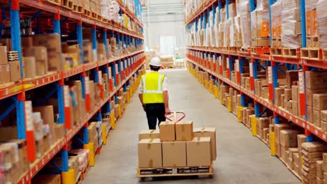 male worker walking with a pallet truck